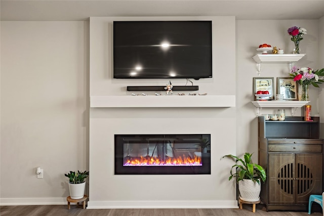 4410 NE Mongoose Ln, Ankeny, IA 50021 - detailed view of wood finished floors and a glass covered fireplace