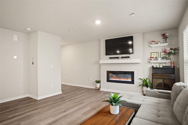 4410 NE Mongoose Ln, Ankeny, IA 50021 - living area with wood finished floors and a glass covered fireplace