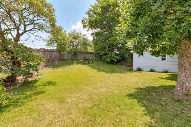 8786 Primrose Ln, Clive, IA 50325 - view of yard