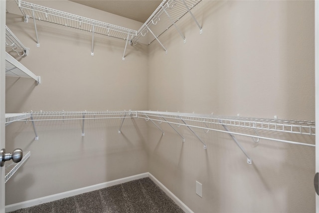 16205 Monroe Ct, Urbandale, IA 50323 - walk in closet with carpet floors