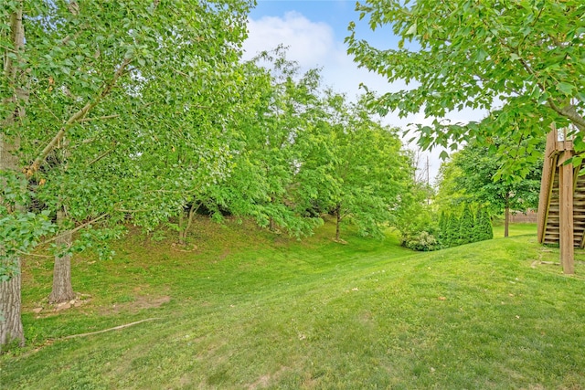 16205 Monroe Ct, Urbandale, IA 50323 - view of grassy yard with stairway