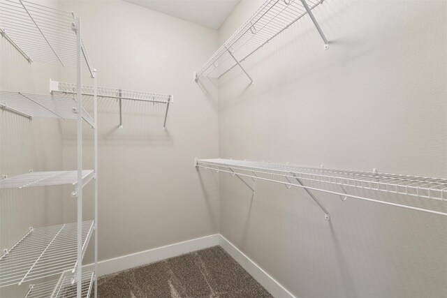 14335 Holcomb Ave, Urbandale, IA 50323 - spacious closet with carpet flooring
