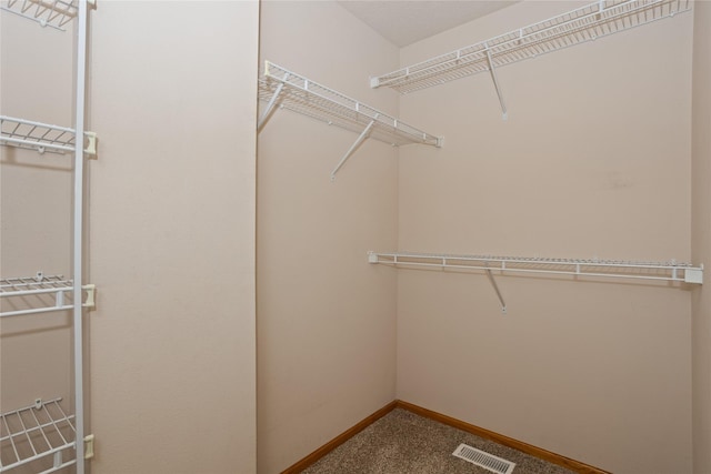 1201 NW Norton St, Grimes, IA 50111 - walk in closet featuring carpet flooring