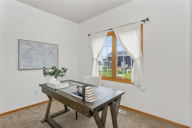 1201 NW Norton St, Grimes, IA 50111 - home office with carpet and baseboards