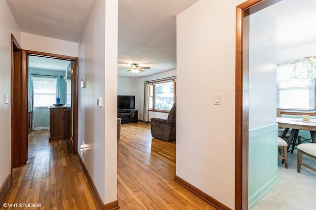 3709 Aurora Ave, Des Moines, IA 50310 - hallway with light wood finished floors, healthy amount of natural light, and a wainscoted wall