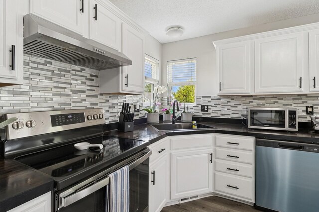 3203 SW Palidian Cir, Ankeny, IA 50023 - photo 10