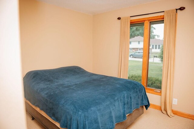 1113 SE Wanda Dr, Ankeny, IA 50021 - photo 20