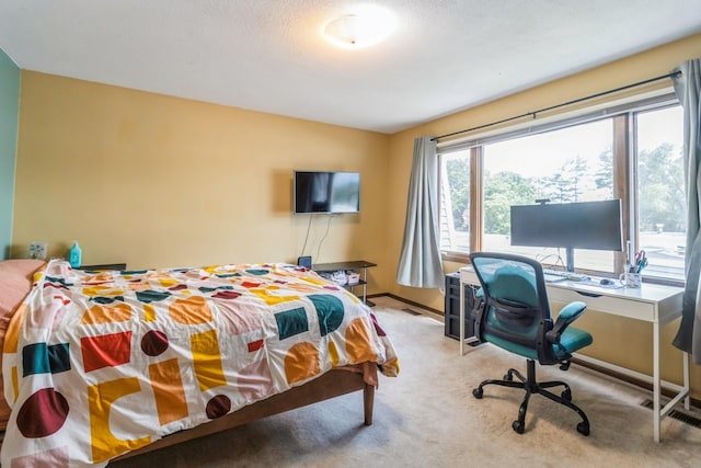 6750 School St Unit 1013, Windsor Heights, IA 50324 - photo 9