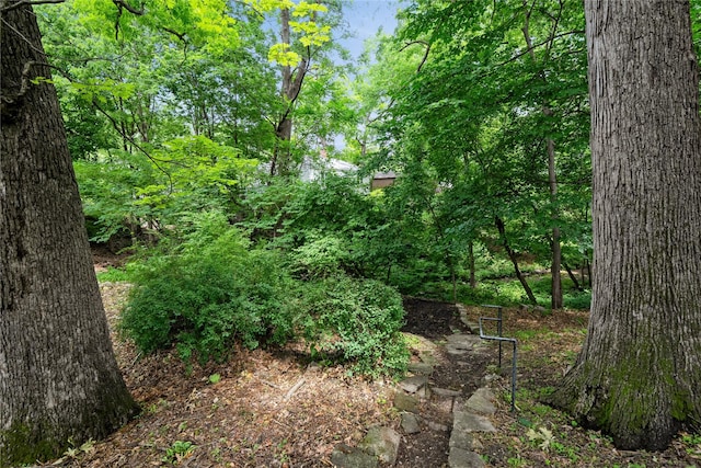 2625 38th St, Des Moines, IA 50310 - view of undeveloped land
