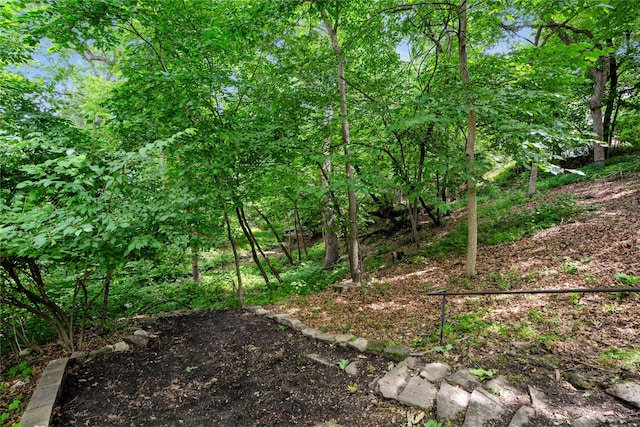 2625 38th St, Des Moines, IA 50310 - view of local wilderness