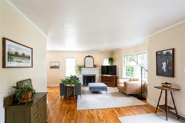2625 38th St, Des Moines, IA 50310 - living room with crown molding, light wood-style flooring, and a fireplace