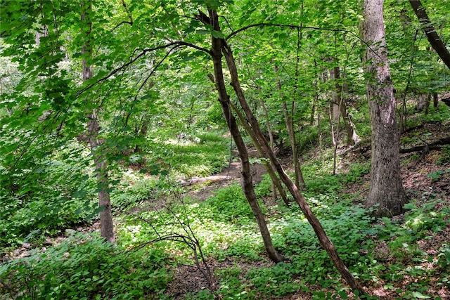 2625 38th St, Des Moines, IA 50310 - view of tree filled area