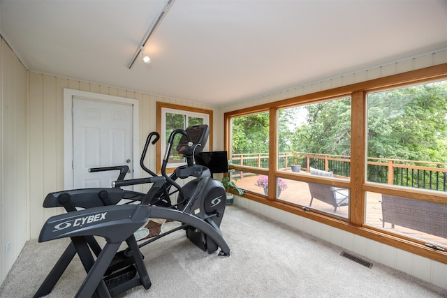 2418 Terrace Rd, Des Moines, IA 50312 - exercise area with carpet flooring