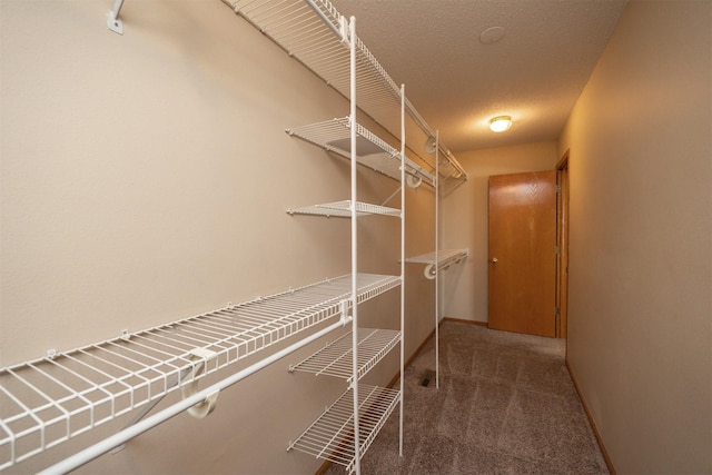 7523 Aspen Dr, West Des Moines, IA 50266 - walk in closet with carpet flooring