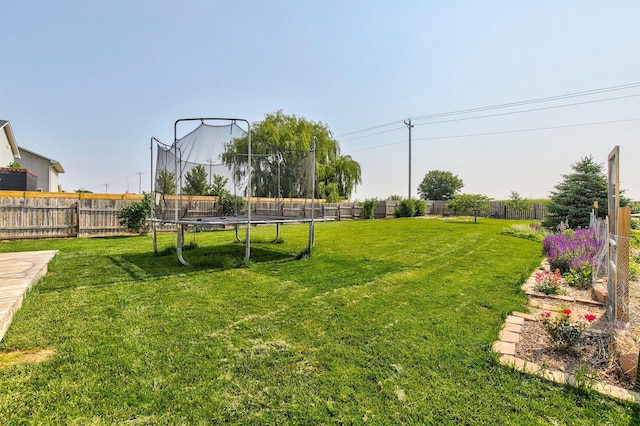 2207 Vista View Dr, Granger, IA 50109 - fenced backyard with a trampoline