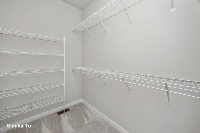 1163 NW Petersen Dr, Waukee, IA 50263 - spacious closet with carpet