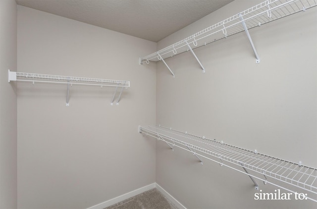 9383 Modena Ln, West Des Moines, IA 50266 - walk in closet with carpet floors