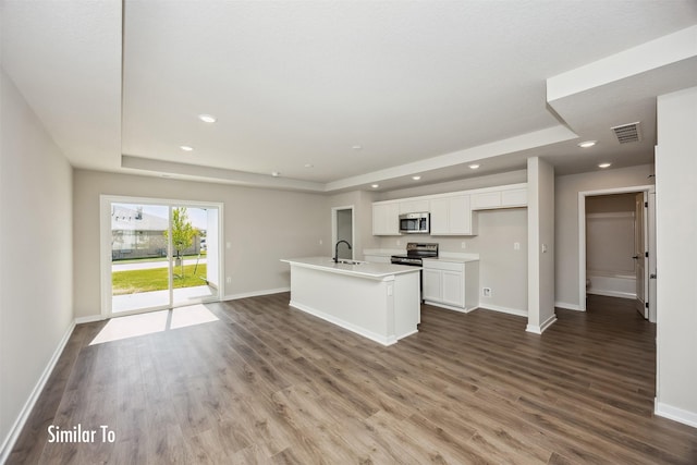 715 Linden St, Carlisle, IA 50047 - kitchen featuring a tray ceiling, appliances with stainless steel finishes, recessed lighting, white cabinets, and dark wood-style floors