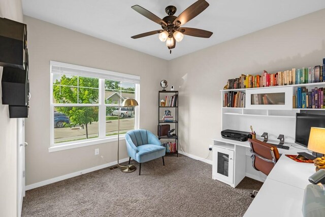 210 SE Willow Run Ln, Ankeny, IA 50021 - office space with carpet and ceiling fan