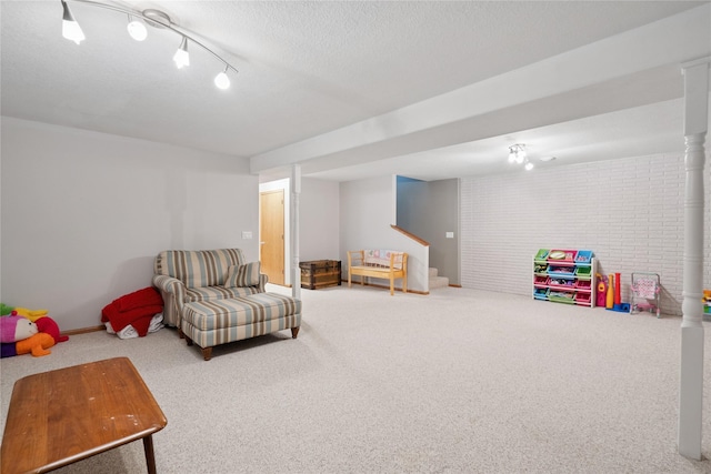 602 8th St, Malcom, IA 50157 - recreation room with carpet flooring, a textured ceiling, and rail lighting