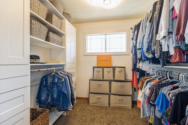 2687 NW 165th Ln, Clive, IA 50325 - spacious closet featuring carpet