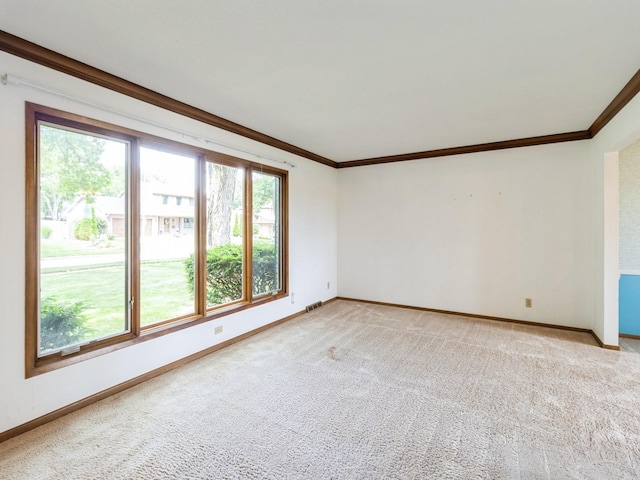 2100 Meadow Brook Dr, West Des Moines, IA 50265 - spare room featuring ornamental molding and light carpet