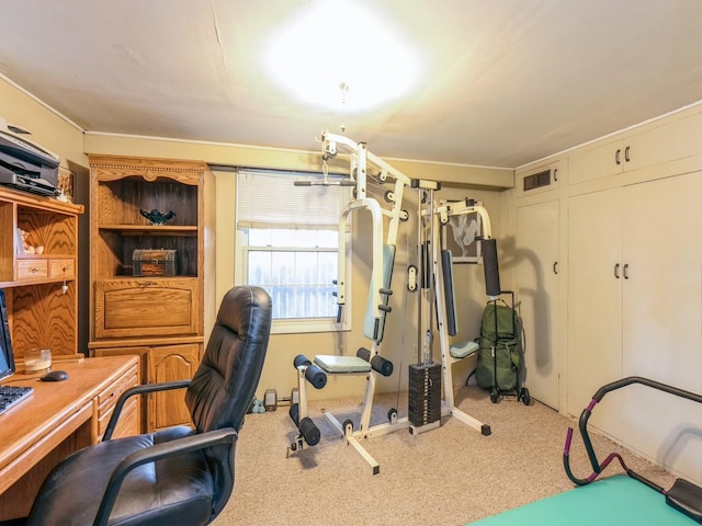 110 E 20th St N, Newton, IA 50208 - exercise room with carpet