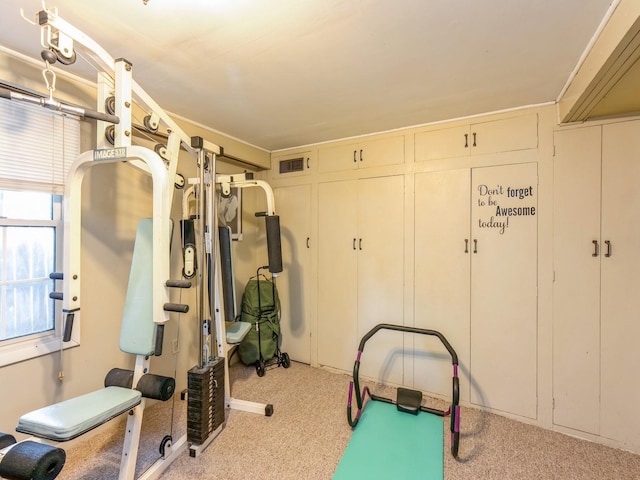 110 E 20th St N, Newton, IA 50208 - exercise area featuring carpet floors