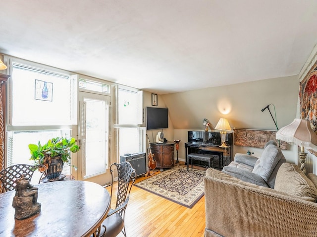110 E 20th St N, Newton, IA 50208 - living area featuring hardwood / wood-style floors and lofted ceiling