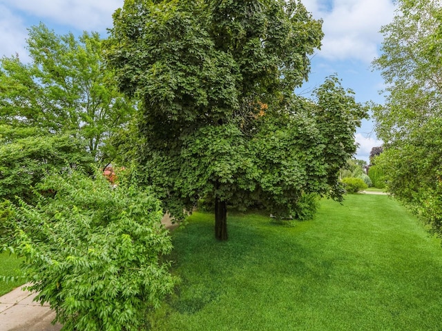 110 E 20th St N, Newton, IA 50208 - view of green lawn