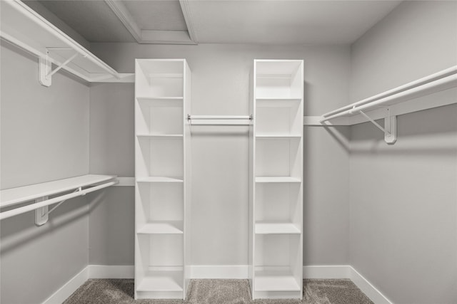 1217 NW Morningside Ct, Grimes, IA 50111 - spacious closet with carpet