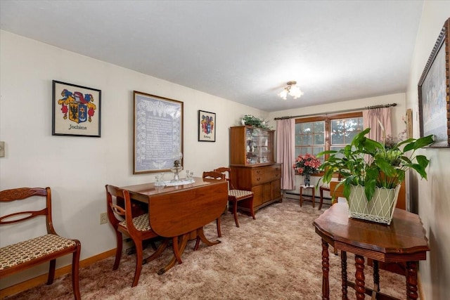 501 N Orchard St N, Brooklyn, IA 52211 - dining area with carpet floors and baseboards