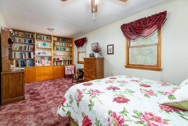 501 N Orchard St N, Brooklyn, IA 52211 - bedroom featuring carpet
