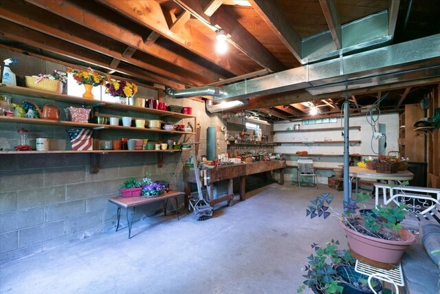501 N Orchard St N, Brooklyn, IA 52211 - unfinished basement featuring a workshop area