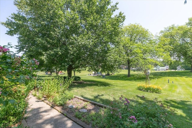 501 N Orchard St N, Brooklyn, IA 52211 - view of green lawn