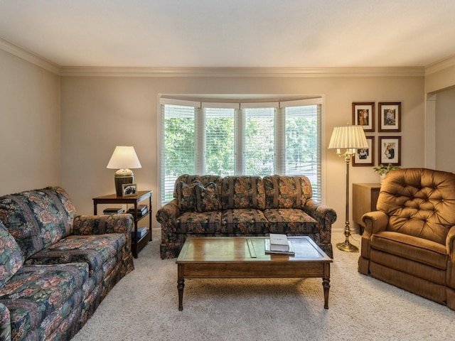 2906 Watrous Ave, Des Moines, IA 50321 - living area with carpet floors, ornamental molding, and plenty of natural light