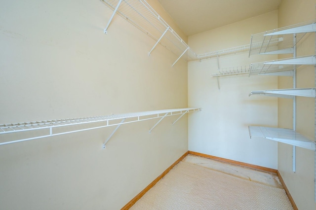 8601 Westown Pkwy Unit 18211, West Des Moines, IA 50266 - walk in closet with carpet floors