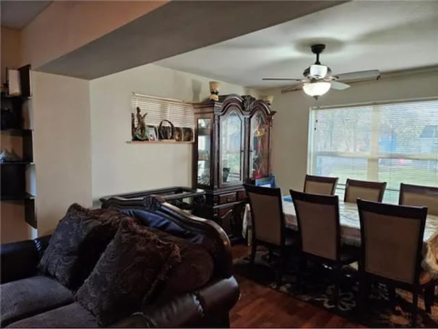 1096 Buchanan St, Des Moines, IA 50316 - living area with wood finished floors, healthy amount of natural light, and a ceiling fan