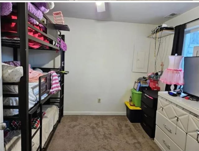 1096 Buchanan St, Des Moines, IA 50316 - bedroom with carpet flooring and electric panel