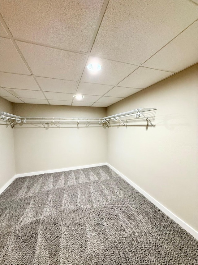 3355 Kinsey Ave, Des Moines, IA 50317 - walk in closet with carpet floors and a drop ceiling
