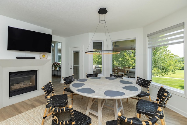 1286 Glen Oaks Dr, West Des Moines, IA 50266 - dining space featuring wood finished floors and a glass covered fireplace