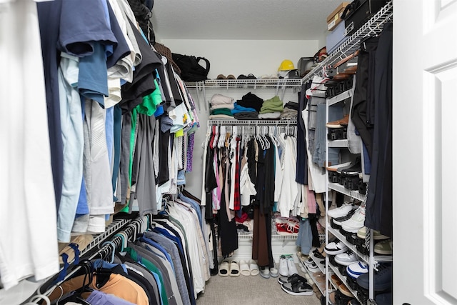 1286 Glen Oaks Dr, West Des Moines, IA 50266 - view of spacious closet