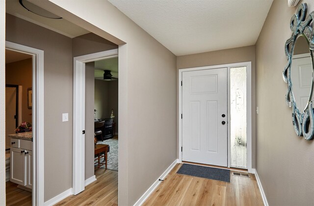 690 SE Driftwood Ln, Waukee, IA 50263 - entrance foyer with light wood-type flooring and baseboards
