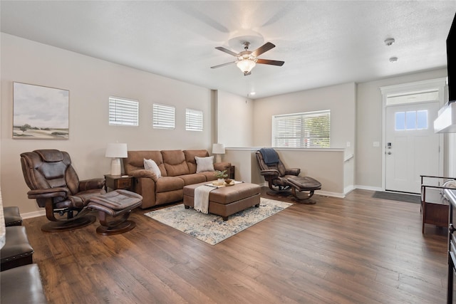 523 S Bluestone Way W, Des Moines, IA 50266 - living room featuring ceiling fan and wood finished floors