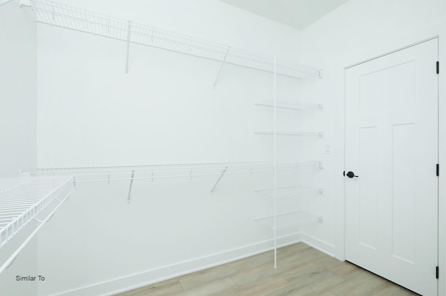 2408 NE 6th St, Grimes, IA 50111 - spacious closet featuring light wood-style floors