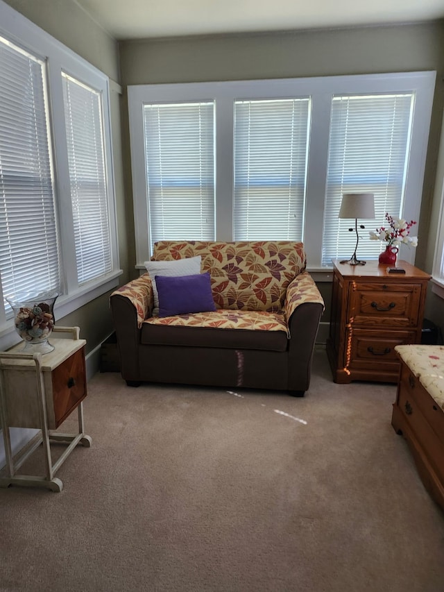 2730 53rd St, Des Moines, IA 50310 - living area featuring light carpet