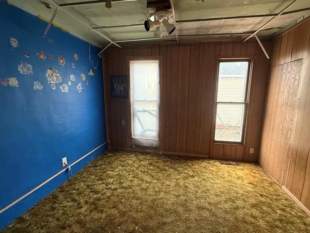 603 N 1st Ave, Marshalltown, IA 50158 - carpeted spare room featuring wood walls and a ceiling fan