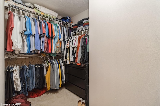 200 Walnut Dr NW, Bondurant, IA 50035 - spacious closet with carpet flooring