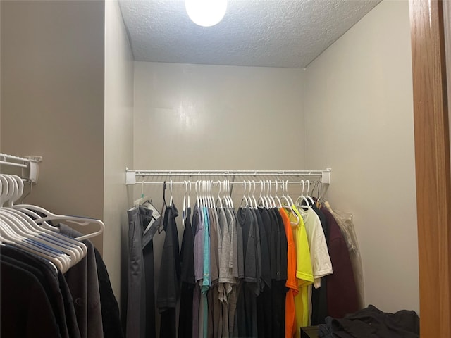 2101 Meadow Ct Unit 304, Des Moines, IA 50320 - view of spacious closet