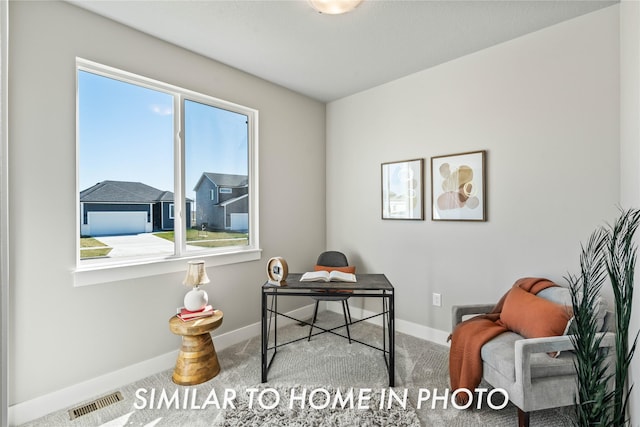 1488 S 91st St, West Des Moines, IA 50266 - office with carpet flooring and plenty of natural light